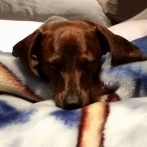 Meet your Posher, Terrina